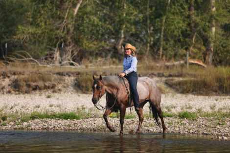 HorseID: 2303958 Lizzy Rey Von - PhotoID: 1086803