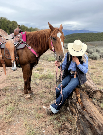 HorseID: 2303967 Jackson Daniel’s - PhotoID: 1086811