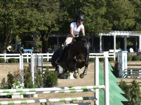 HorseID: 2303968 Maverick - PhotoID: 1086810