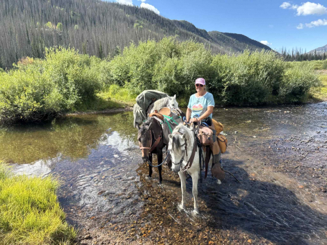 HorseID: 2303970 Raphael - PhotoID: 1086821