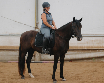 HorseID: 2303991 JVF Mister Nox - PhotoID: 1086846