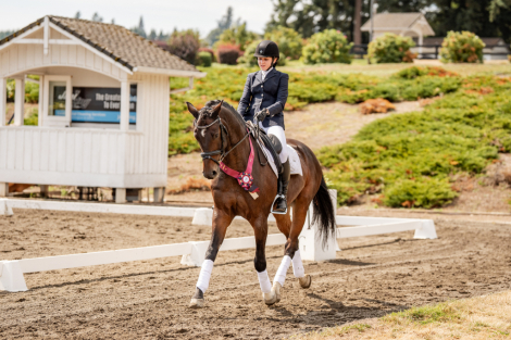 HorseID: 2304003 Gunfire - PhotoID: 1086855