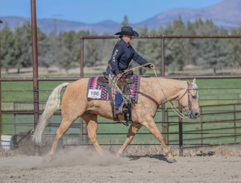 HorseID: 2304012 Flash That Badge - PhotoID: 1086922