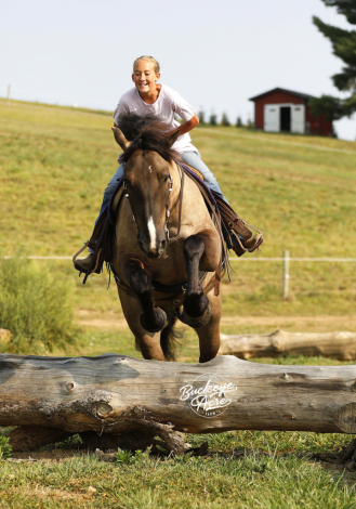 HorseID: 2304018 Buckeyes Kodiak - PhotoID: 1086890