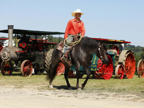 HorseID: 2304021 Doc Watch Me Slide - PhotoID: 1086882