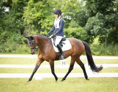 HorseID: 2304038 Bee - PhotoID: 1086931