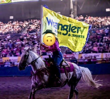 HorseID: 2304075 Lady on D Run - PhotoID: 1087715