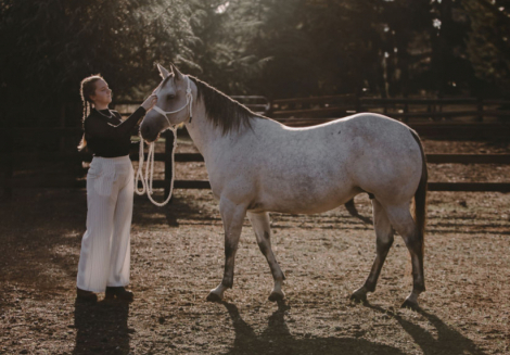 HorseID: 2304082 Blue chicks count - PhotoID: 1086985