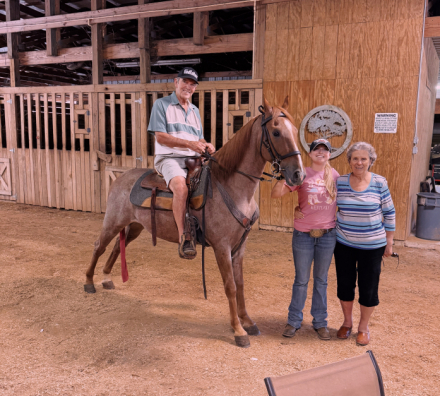 HorseID: 2304100 Crimson Captain - PhotoID: 1086991