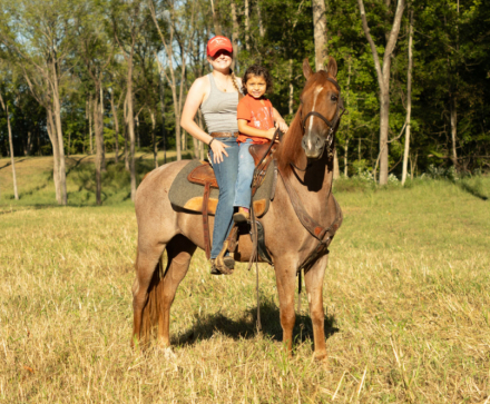 HorseID: 2304100 Crimson Captain - PhotoID: 1086992