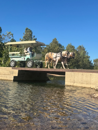 HorseID: 2304111 MIke & Ike - PhotoID: 1087005