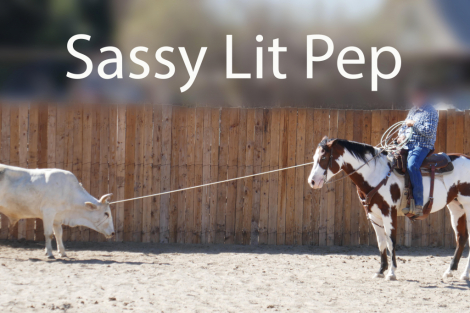 HorseID: 2304116 Sassy Lit Pep - PhotoID: 1087014
