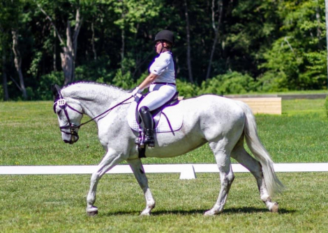 HorseID: 2304121 Outgreygous - PhotoID: 1087028