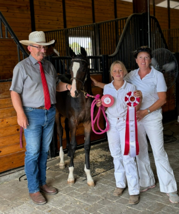 HorseID: 2304155 Ugaudit - PhotoID: 1087072