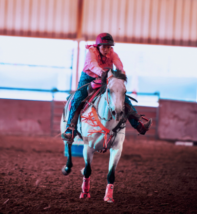 HorseID: 2304157 BLT Gay Bar Girl - PhotoID: 1087064