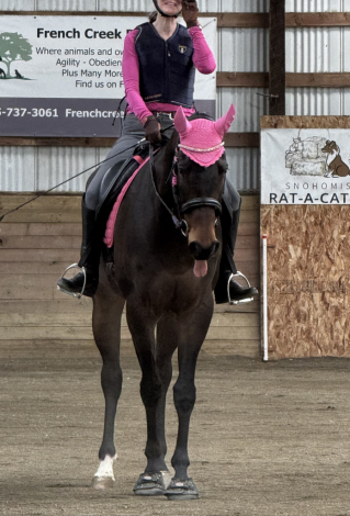 HorseID: 2304173 Bullet Bay - PhotoID: 1087230