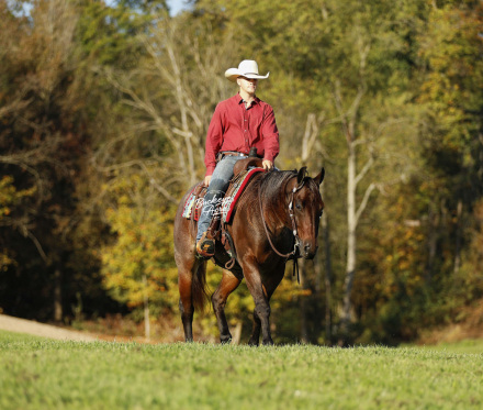 HorseID: 2304198 RR Smooth Glo - PhotoID: 1087121