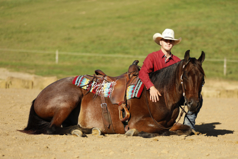 HorseID: 2304198 RR Smooth Glo - PhotoID: 1087123