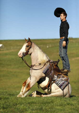 HorseID: 2304201 Waylon - PhotoID: 1087116