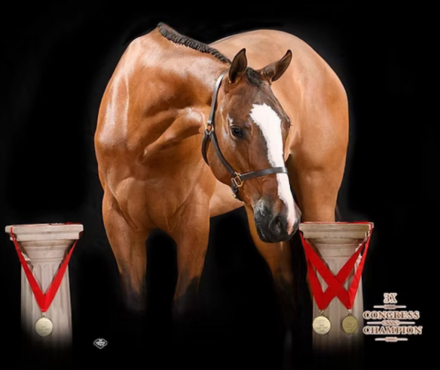 HorseID: 2304220 Im Lukin Fabulous - PhotoID: 1087134