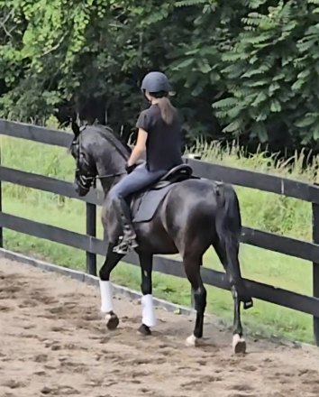 HorseID: 2304231 Mykupatee - PhotoID: 1087151