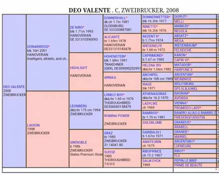 HorseID: 2304260 Brigitta - PhotoID: 1087172