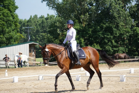 HorseID: 2304260 Brigitta - PhotoID: 1087173