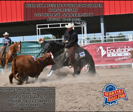 HorseID: 2304281 MERADA GOLD CAT - PhotoID: 1087207