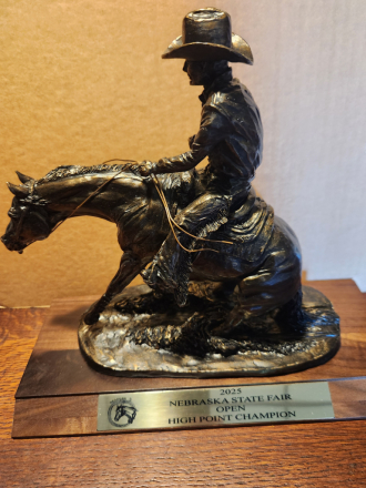 HorseID: 2304281 MERADA GOLD CAT - PhotoID: 1087208