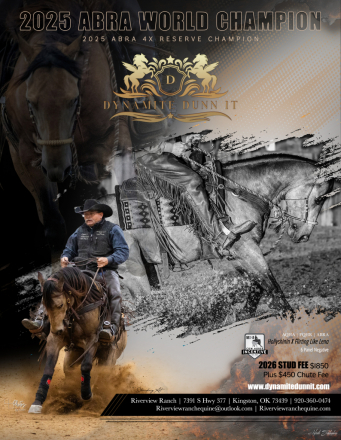 HorseID: 2304282 Dynamite Dunn it - PhotoID: 1087211