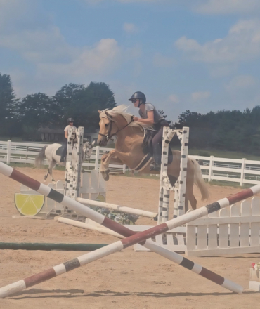 HorseID: 2304283 Starsky - PhotoID: 1087275