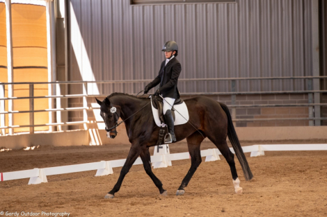 HorseID: 2304296 Two Timer - PhotoID: 1087232