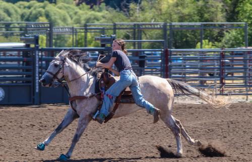 HorseID: 2304302 NW JODYS EZ CASH - PhotoID: 1087240