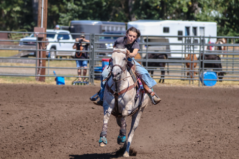 HorseID: 2304302 NW JODYS EZ CASH - PhotoID: 1087243