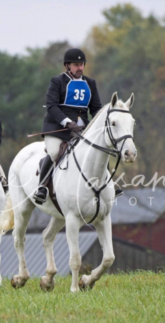 HorseID: 2304310 Da Grey - PhotoID: 1087253