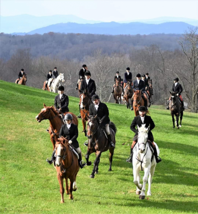 HorseID: 2304310 Da Grey - PhotoID: 1087254