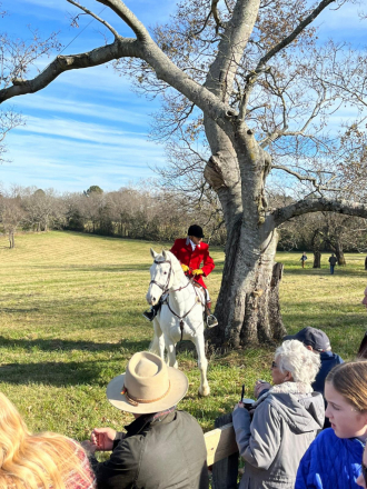 HorseID: 2304310 Da Grey - PhotoID: 1087255