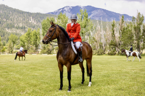 HorseID: 2304317 Foxwood Coronea Teagan - PhotoID: 1087264