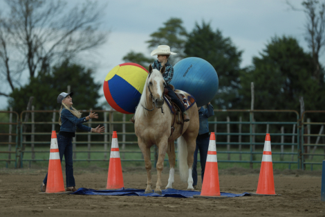 HorseID: 2304321 Big Sky Enterprise - PhotoID: 1087268