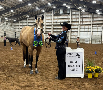 HorseID: 2304331 SHEZA FAVORD MACHINE - PhotoID: 1087282