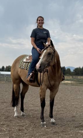 HorseID: 2304331 SHEZA FAVORD MACHINE - PhotoID: 1087283