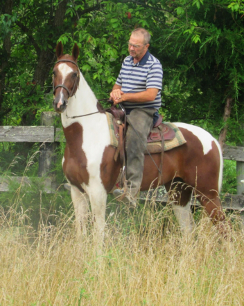 HorseID: 2304337 CHC Cute For Cash - PhotoID: 1087288