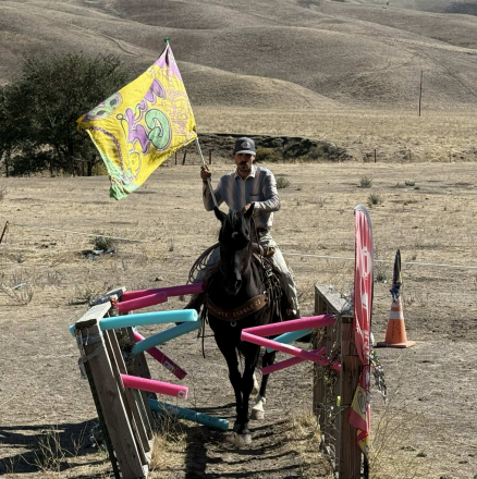 HorseID: 2304338 Blackjack BM - PhotoID: 1087318