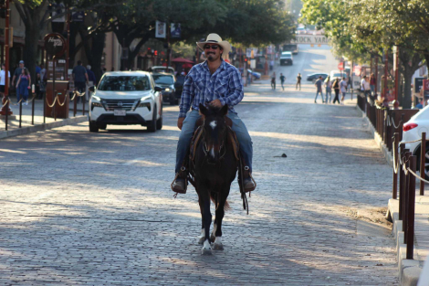 HorseID: 2304344 Willow M$ - PhotoID: 1087354