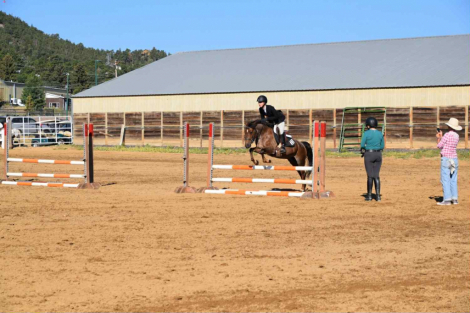 HorseID: 2304347 Charley MS - PhotoID: 1087334