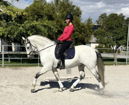 HorseID: 2304368 Santana - PhotoID: 1087311