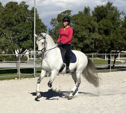 HorseID: 2304368 Santana - PhotoID: 1087312