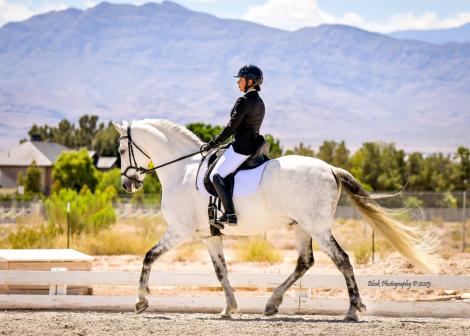 HorseID: 2304368 Santana - PhotoID: 1087313