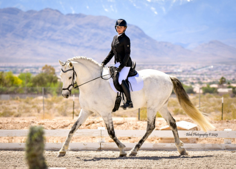 HorseID: 2304368 Santana - PhotoID: 1087314