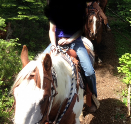 HorseID: 2304369 Tailors Frst Impression - PhotoID: 1087598